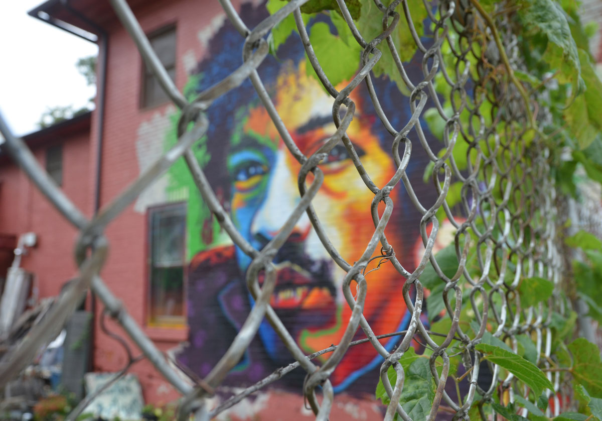 A brightly coloured man's face, that looks like the famous guitar player Jimi Hendrix, is painted on the back of a building, but it is behind a chain link fence. There is a vine growing on the fence that looks like it might be the man's hair. 
