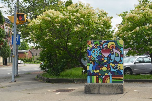 blog_rochester_box_peace_sign