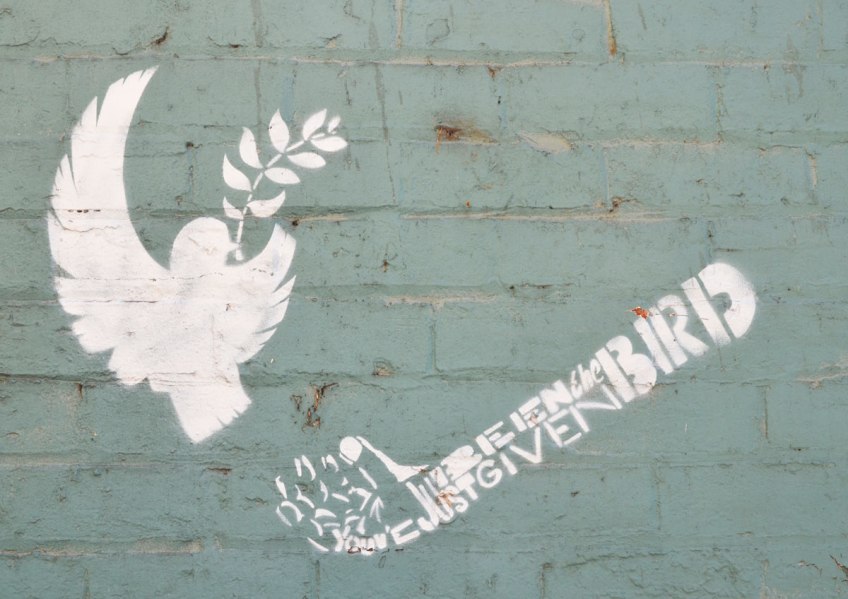 a white stencil on a blue wall, a dove in flight with an olive branch in its mouth. A hand and arm is made of the words "You have just been given the bird"