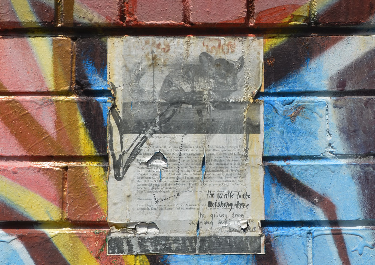 page from a book written in German that has been pasted onto a wall that is painted with multicoloured graffiti. The book page is about chinchillas and has a picture of a chinchilla on the top third of the page. Someone has written in black marker over it, 