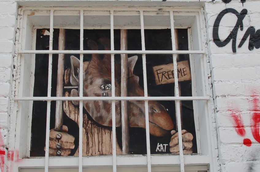 poster of anthromorphic creature with animal mask on, giraffe behind bars. only the head shows in the window. hands are grasping onto the bars.