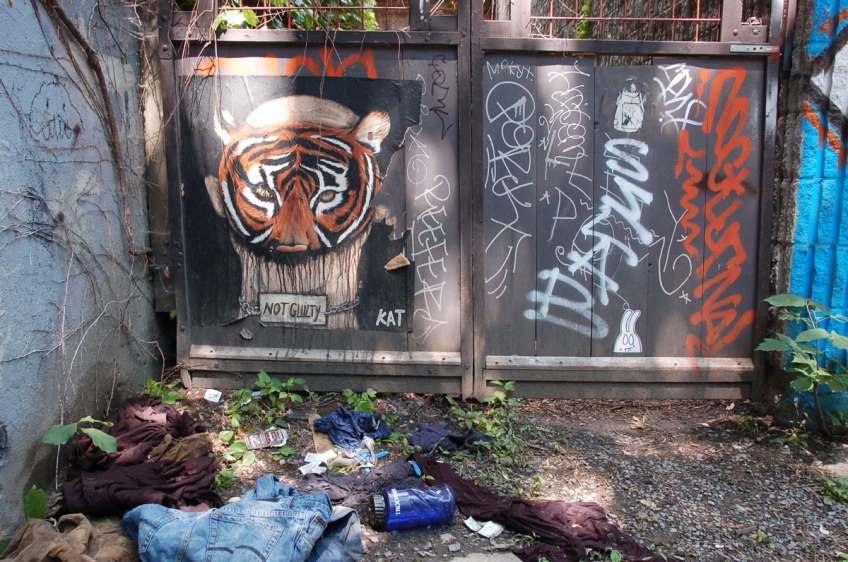 KAT graffiti artist poster of a person wearing a tiger mask, head and shoulders only visible, with a sign in front of it that says 'not guilty'