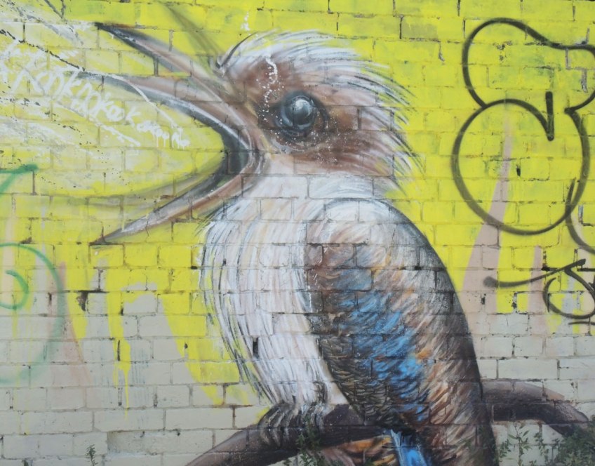 part of a larger mural, a kookaburra bird sitting on a branch with its beak open wide., yellow background