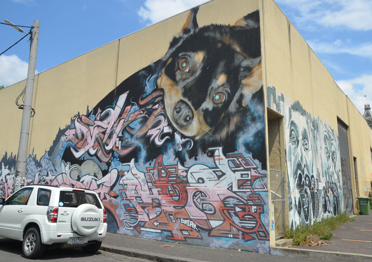 blog_mural_dog_faces