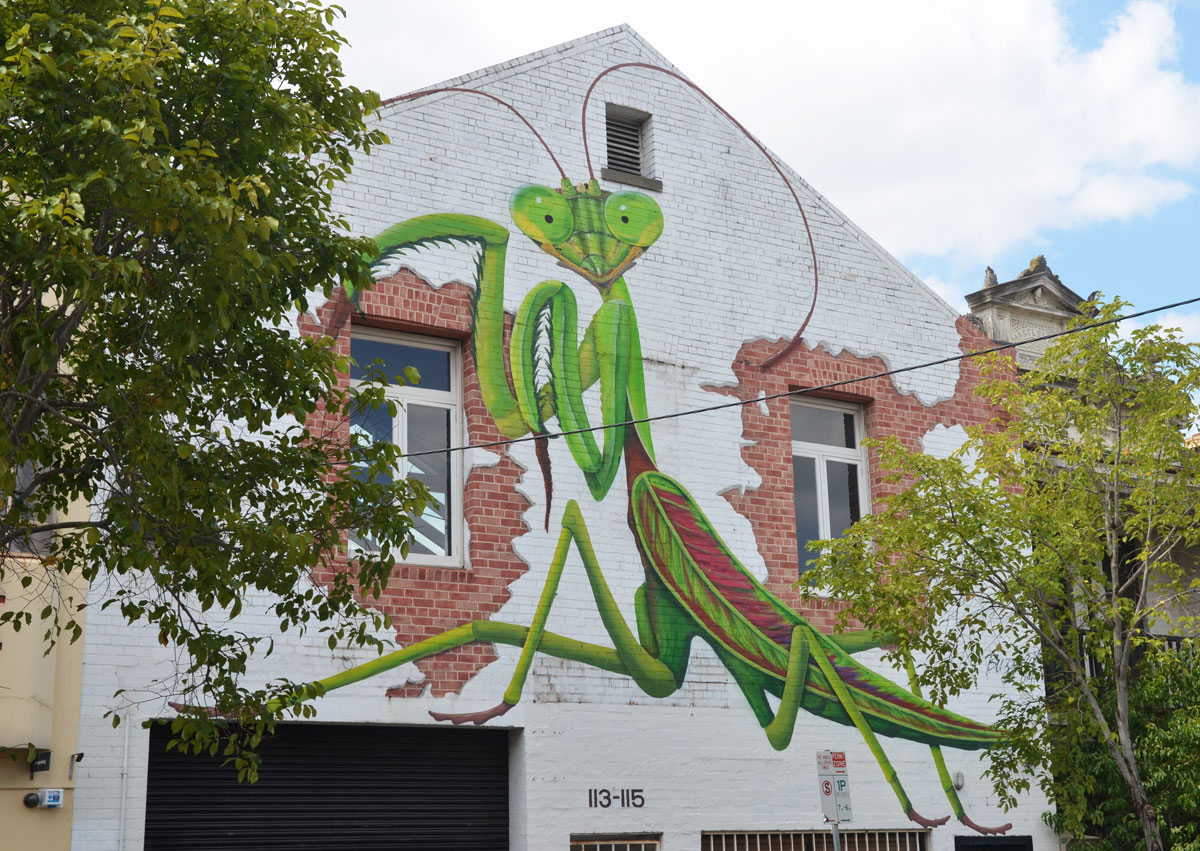 street art of a praying mantis on the side of a wall