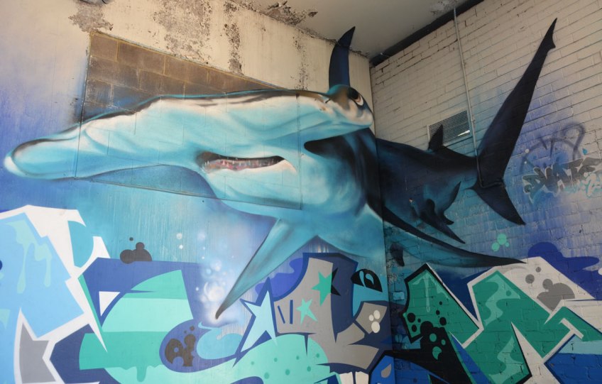 street art painting of a shark on an inside corner of a wall in a car park