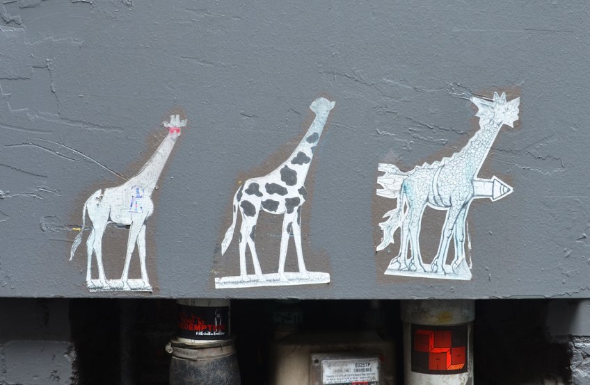 three paste up giraffes on a bluish grey wall, above a section of large pipes.