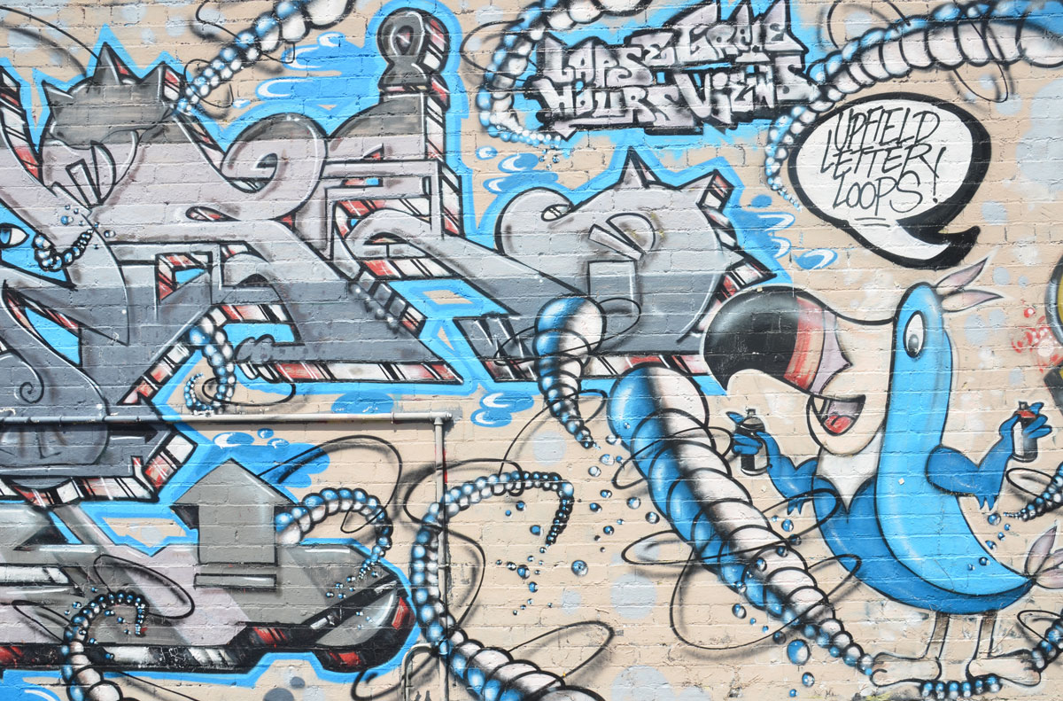 mural in turquoise and grey featuring a toucan