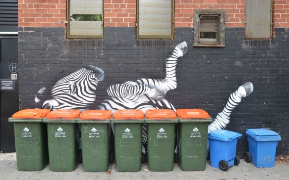 A street art painting in black and white of a zebra lying in the ground with its feet in the air. A line of green rubbish bins is in front of the zebra and partially obscures it. 