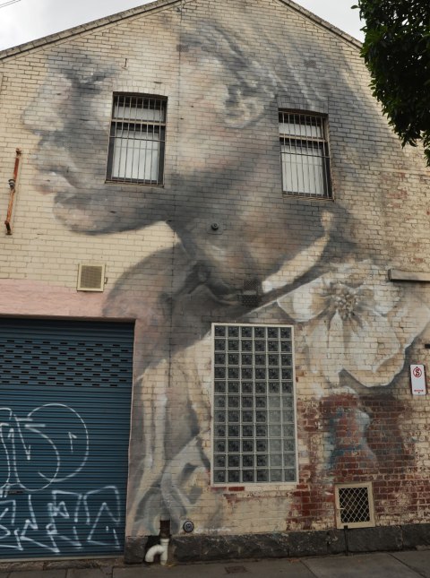 very large two storey mural of a girl on the side of a building. Her head and shoulders profile