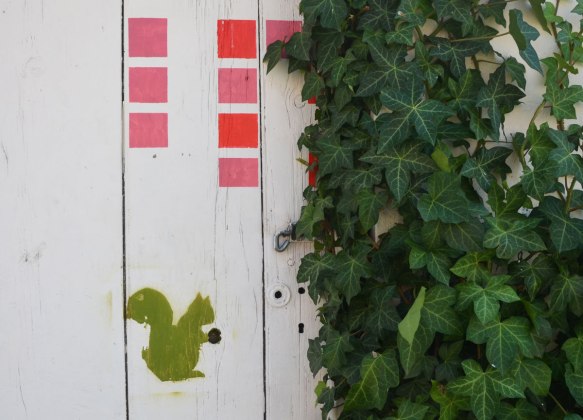 tiny green stencil squirrel on a wood fence. A knot hole in the wood looks like a nut in the paws of the squirrel