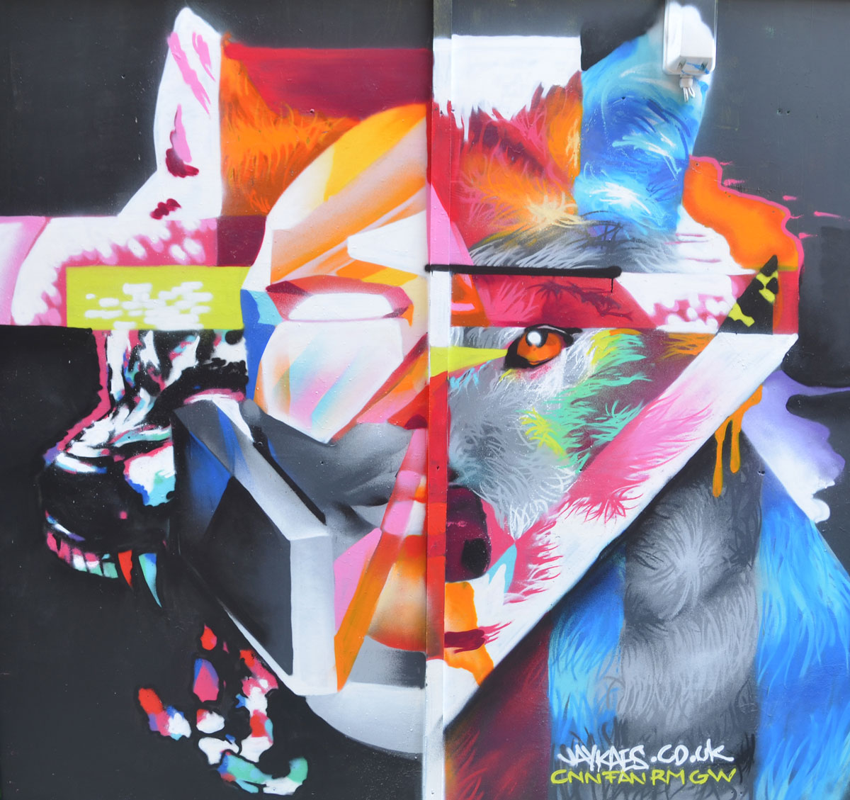 abstract portrait, half man and half wolf face