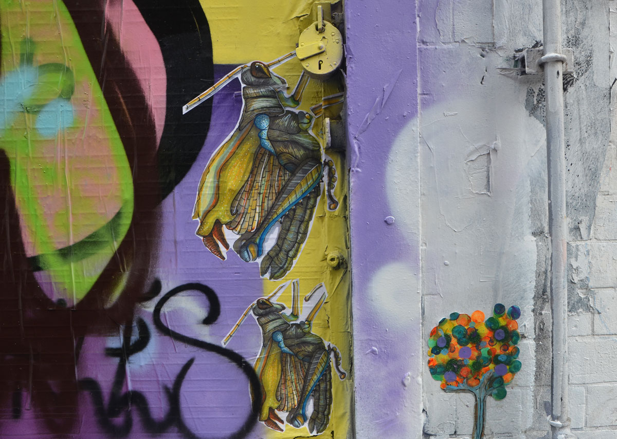 two stencils of setailed insects on a wall, grasshoppers perhaps, also a graffiti little tree where the leaves are made from colourful circles, 