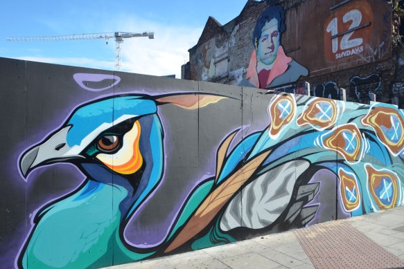 a large mural of a colourful peacock onwood construction hoardings. 