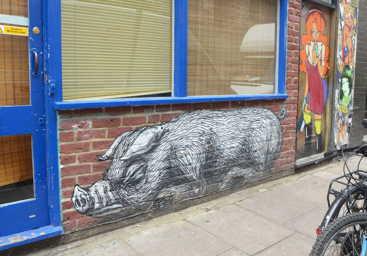 black and white paste up of a pig below a window, looks like its sleeping on the sidewalk 