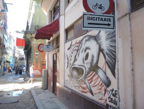 blog_fish_street_art_wall