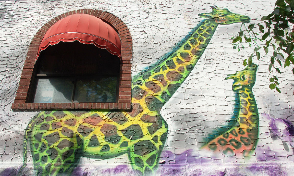 street art, graffiti, animals painted on a wall - a tall adult giraffe and a smaller young giraffe eating leaves with necks outstretched. A branch of a real tree is also in the picture and it looks like the girafffes are eating the real leaves