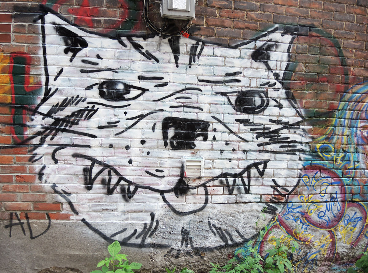 street art, graffiti, animals painted on a wall - a large black and white cat head