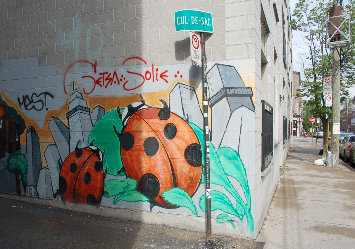 street art, graffiti, animals painted on a wall - two large ladybugs on green leaves