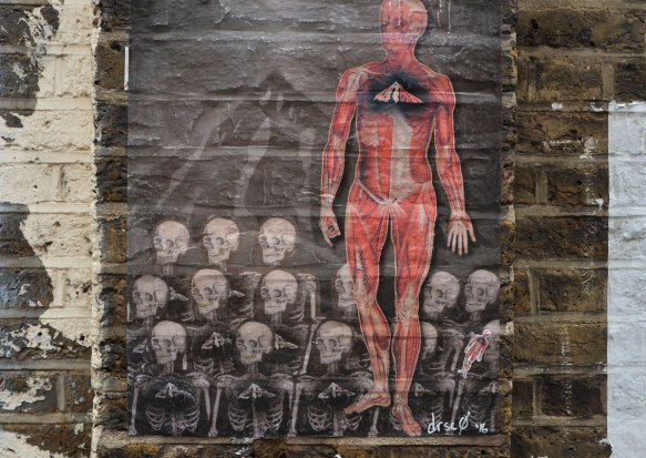 pasteup of a man showing his musculature, like a standing body with the skin removed. He is standing in front of rows of skeletons. A pasteup street art piece by drsc0