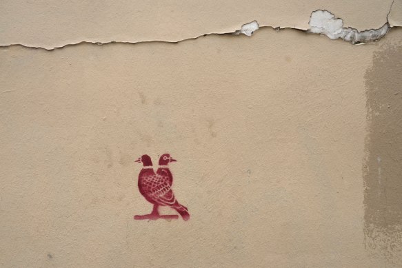 reddish stencil graffiti of two birds standing beside each other 
