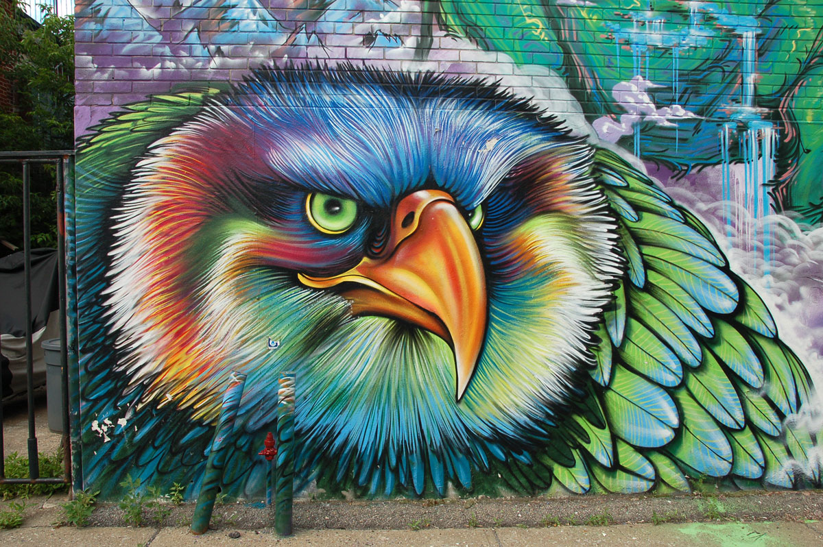 street art, graffiti, animals painted on a wall - A brightly coloured bird head with fine feathers and a large yellowish orange beak