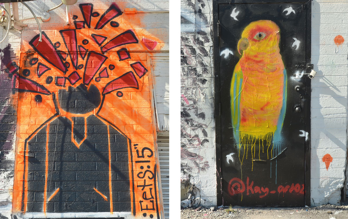 two street art pictures, A yellowish orange parrot with green wings and on the left a black man with orange exploding head