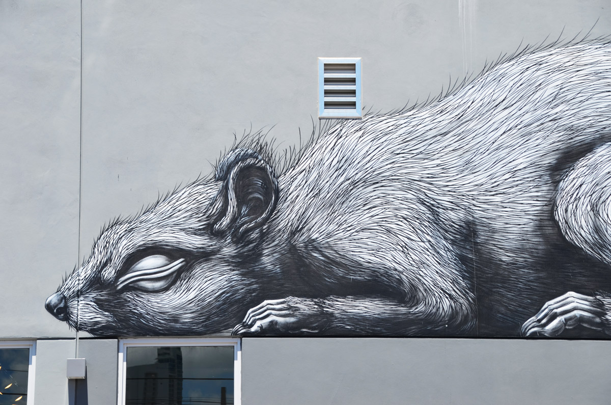 small rodent sleeping on top of a window, black and white mural by ROA