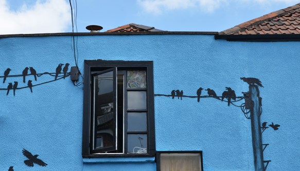 birds on a wire, silohuettes on blue background