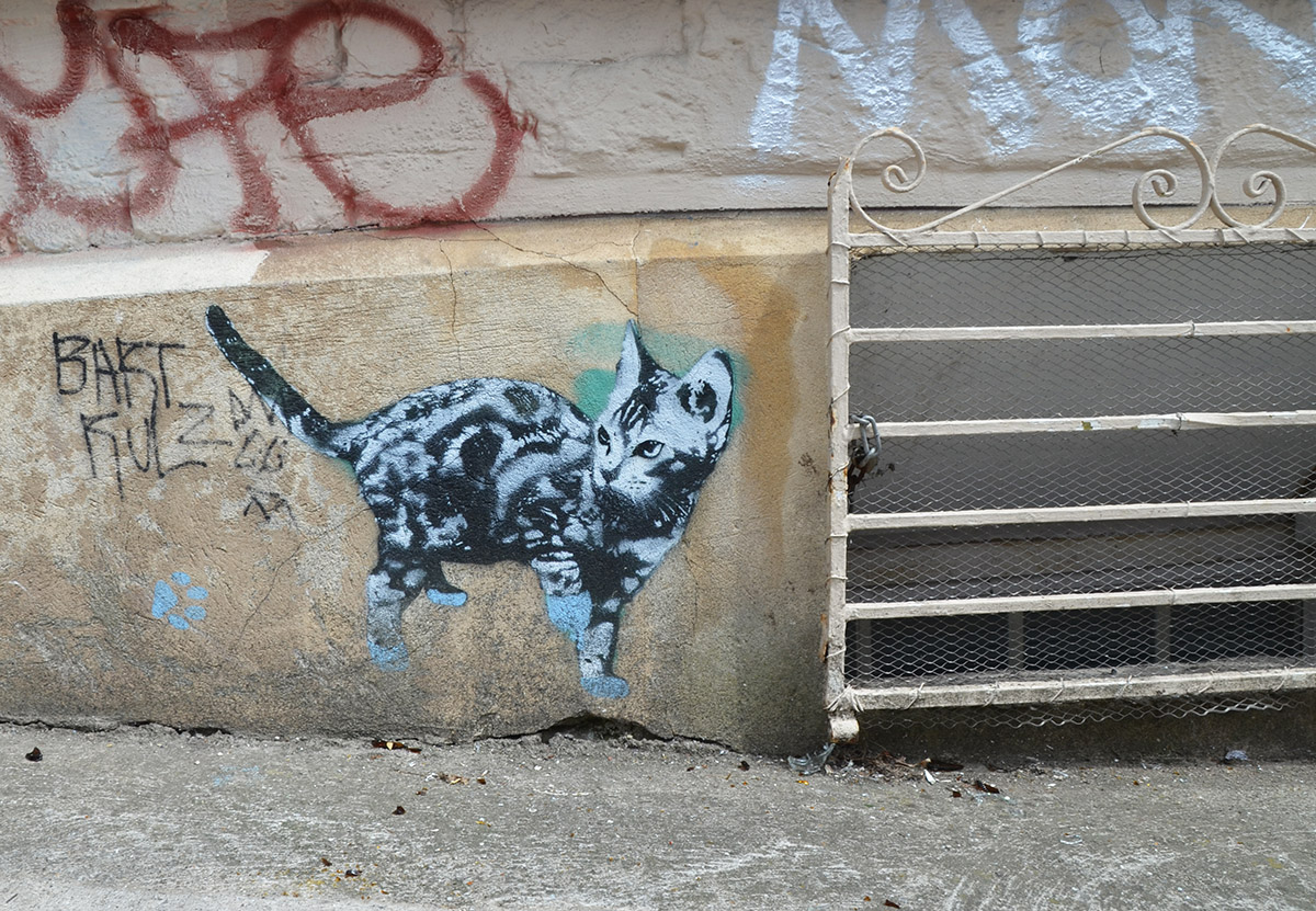 small stencil of a realistic looking cat, on a concrete wall, at sidewalk level so itloks like it's walking on the pavement