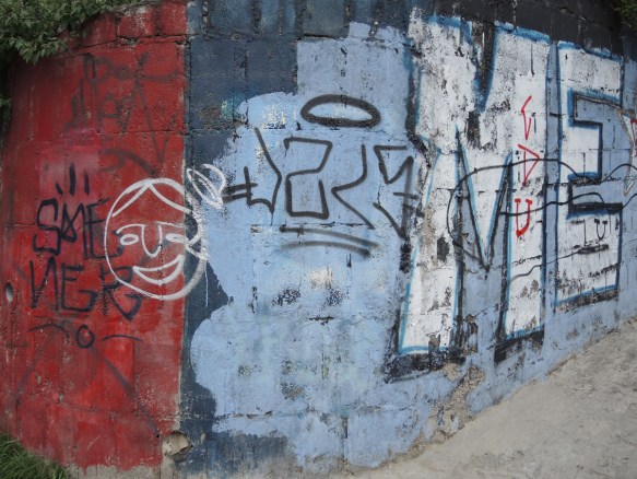 wall painted part red and part blue. on the blue part is a large ME in white with black border. Quito Ecuador graffiti
