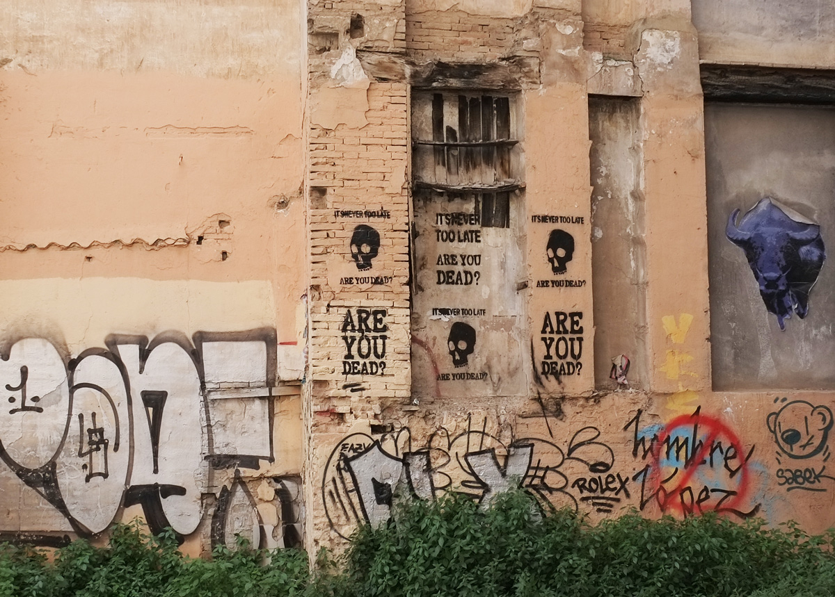 are you dead stencils on a wall in front of a vacant lot, words, skulls, black ink, also a purple bull