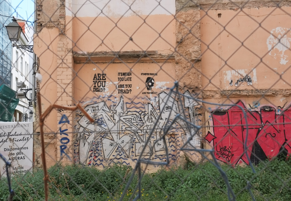 are you dead stencils on a wall in front of a vacant lot, words, skulls, black ink, through a chainlink fence, also a purple bull 