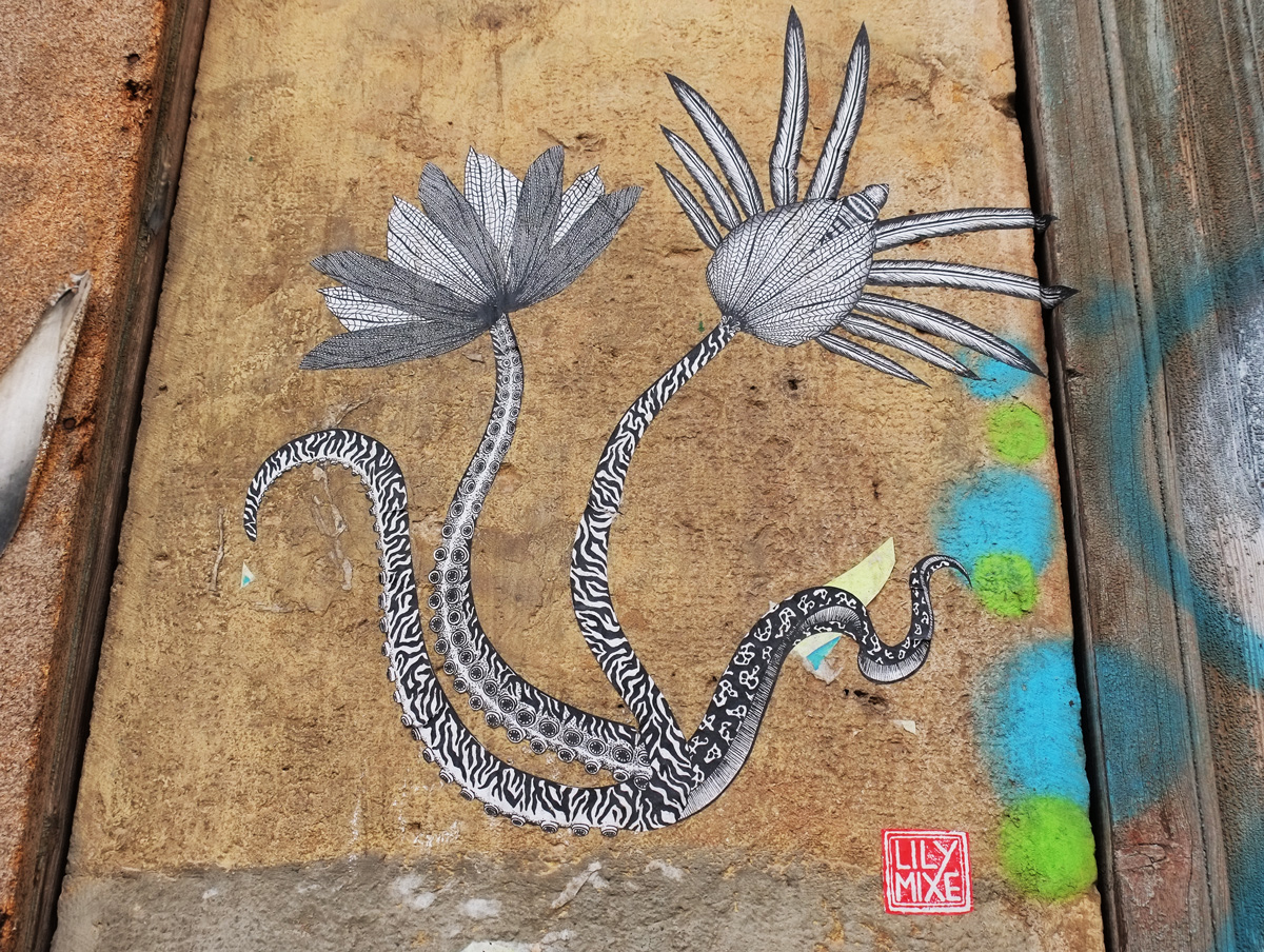 intricate drawing of flowers and stems in black and white by lily mixe