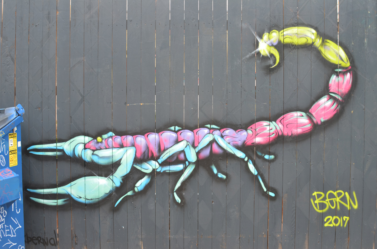 mural on grey wood fence of a very large insect from the side, pincer claws, six little light blue legs and a tail that curves upward, pink body, yellow tail, 