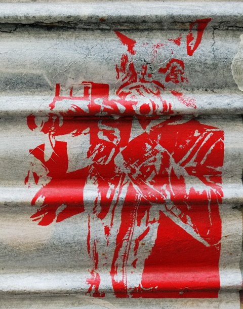 red rabbit with a camera