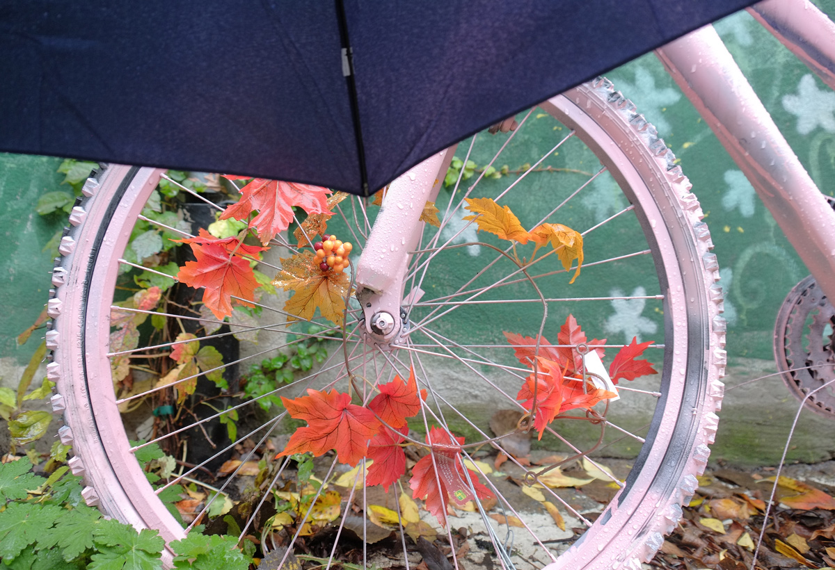 close up of back wheel of an old bike that has been painted pink and has a garland of fake autumn leaves woven through the spokes. 