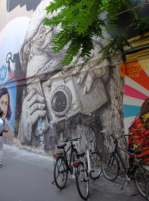 large mural of a monkey holding a camera and grinning