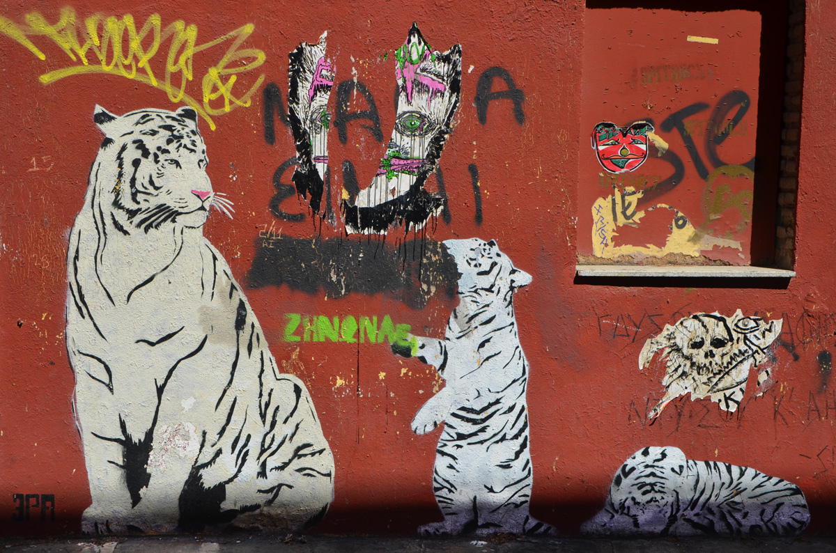 three white tigers on a red wall, a parent tiger with two cubs (kitts?), some other pasteups on the wall too 