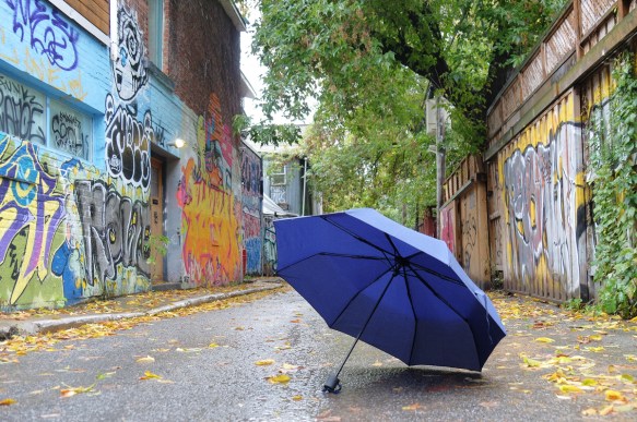 blue umbrella in a lane with street art and autumn trees on both sides 