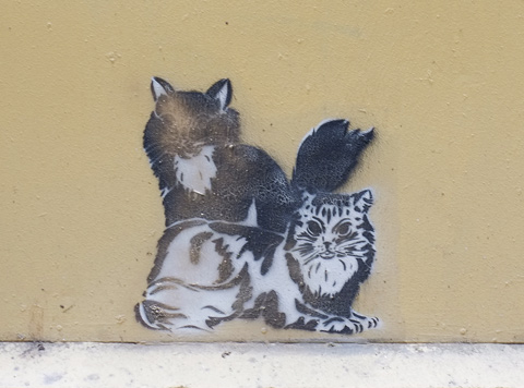 two black and white cats on a pasteup in a lane 
