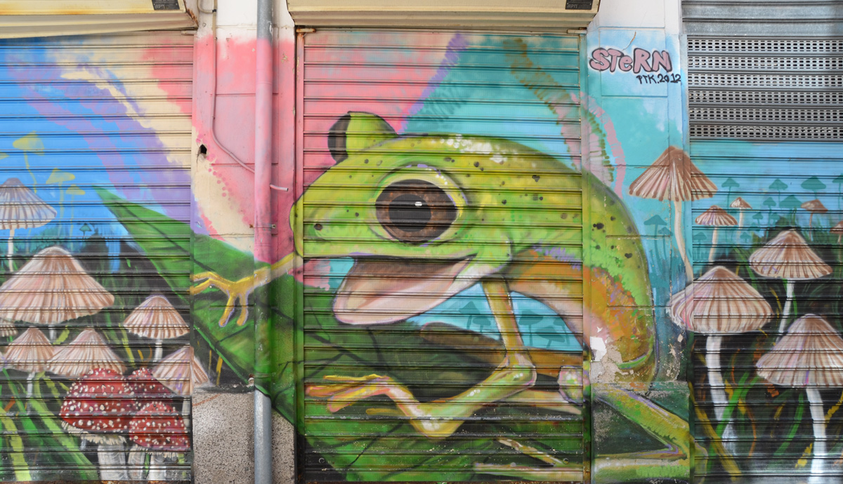 A light green frog sits on a dark green leaf, mushrooms on both sides of him, some of the mushrooms have beige and white striped caps and some have red tops with white dots 