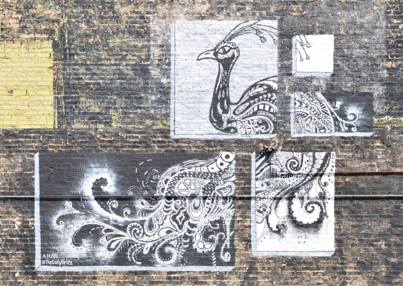 mural of a peacock done in black and white paint and made to look like it was done on 4 pieces of paper, on an old brick wall, by Andrea Dunn, a k a the daily drizz 