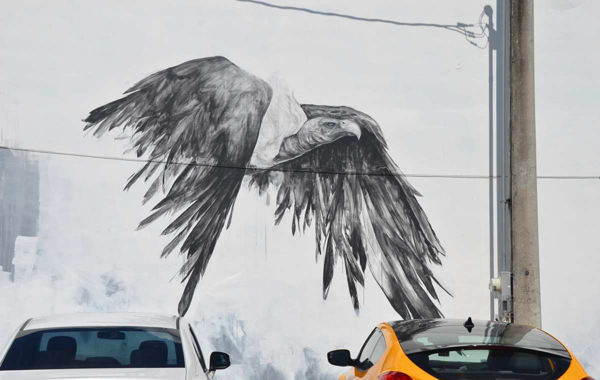 a realistic mural painting of a vulture in shades of grey, in flight, beside two parked cars in a parking lot 