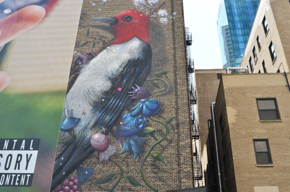 part of a mural, a large red head woodpecker, but rest of mural has been covered over by a large ad 