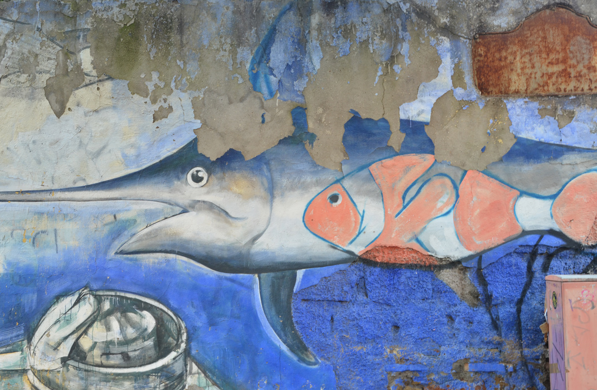 in a mural, a clown fish swims beside a swordfish