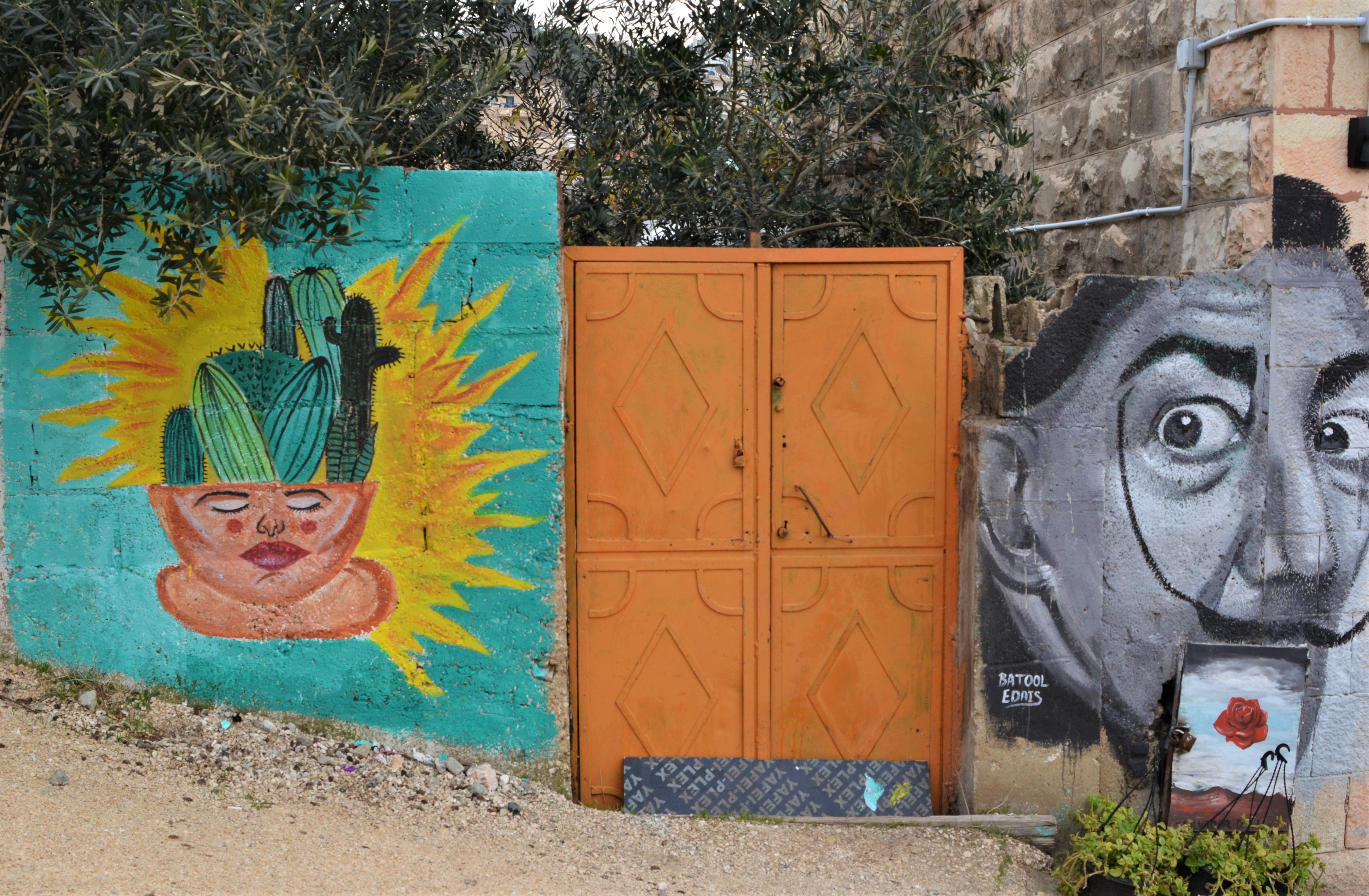 an orange metal gate in between two murals, on the left is face with a cactus instead of hair, and on the other side is a back and white picture of Salvator Dali