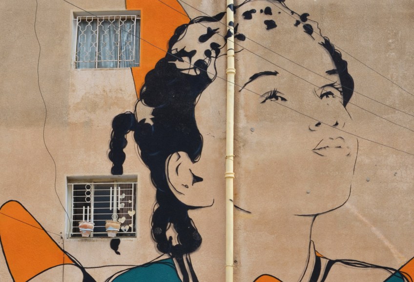 close up of a mural, a girls face, on a wall with two windows, one of the windows has two flower pots