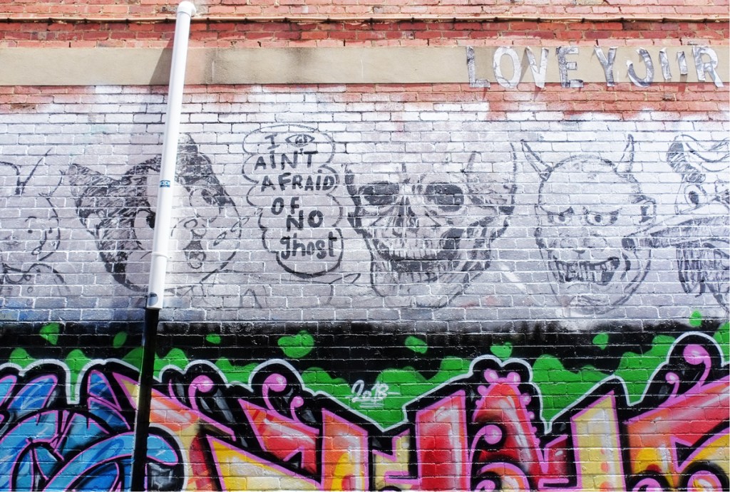 black drawings on white of a cat head, and a skull. cat has word balloon that says I am not afraid of ghosts