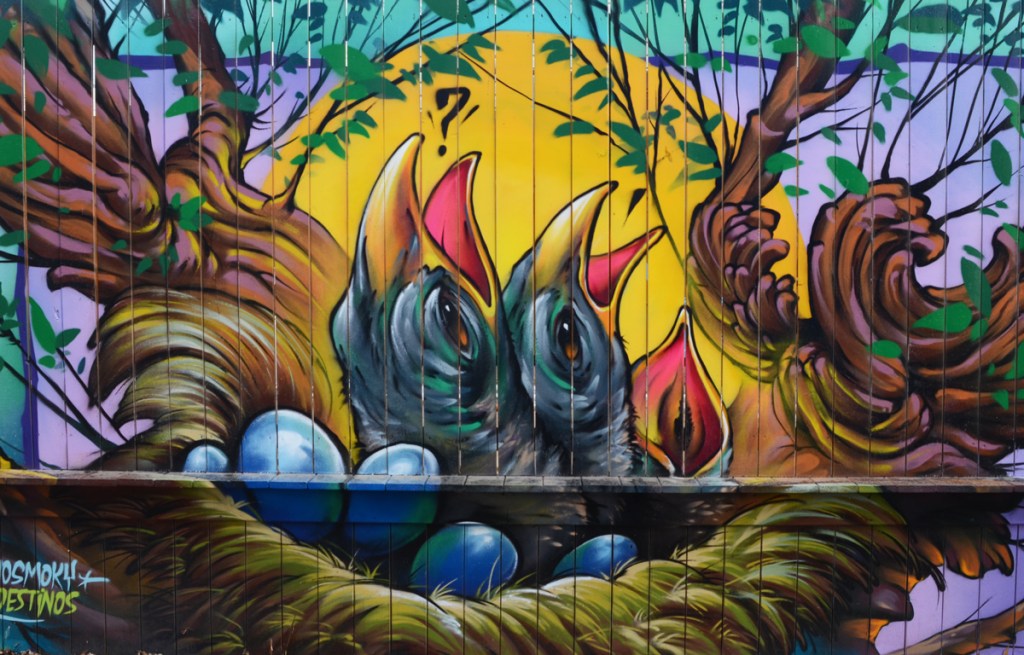 mural by Bruno Smoky and Clandestinos on a wood fence in an alley, baby birds in a nest with their beaks open waiting for parents to feed them